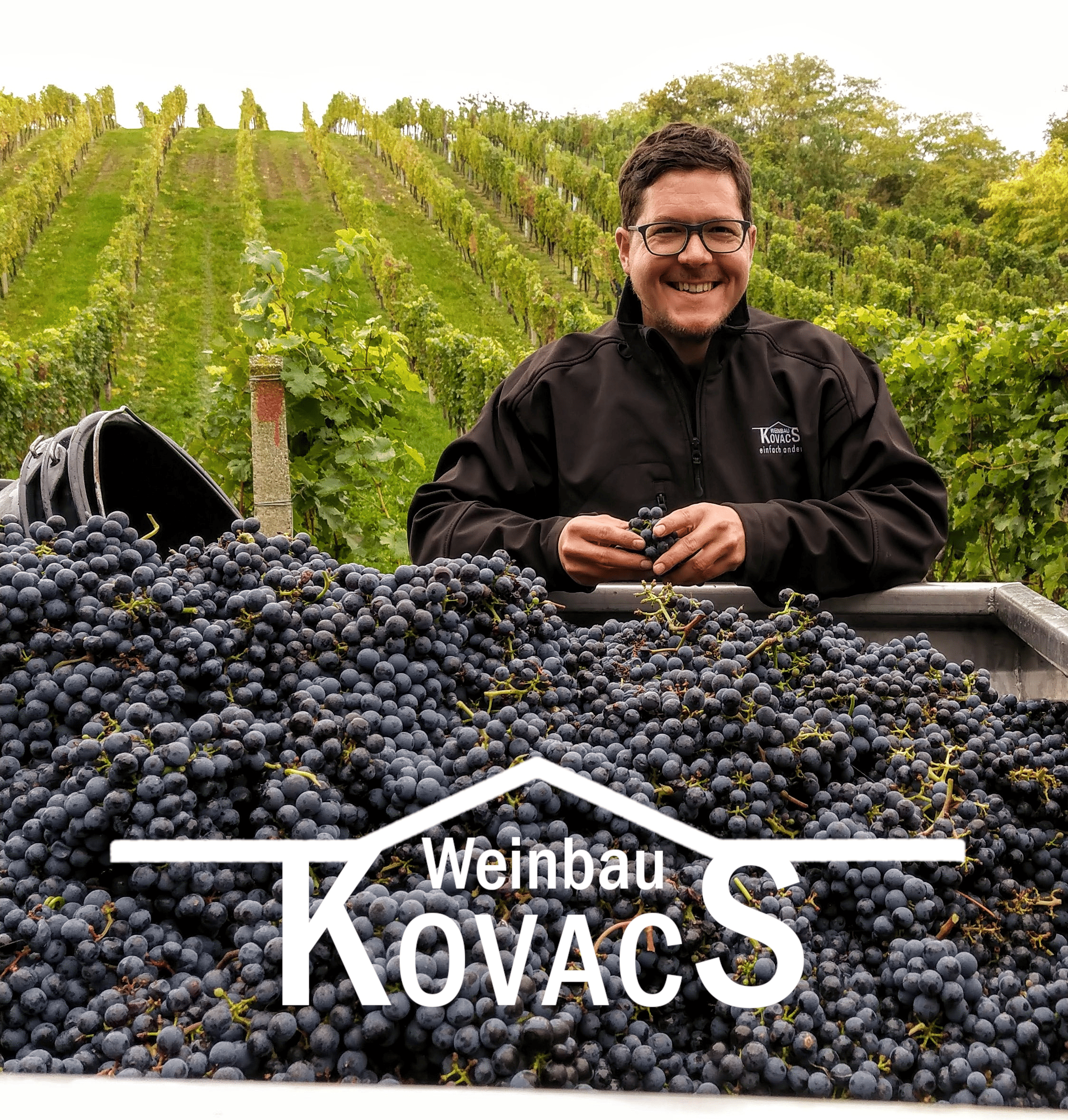 Weingut Kovacs Weingut Kovacs