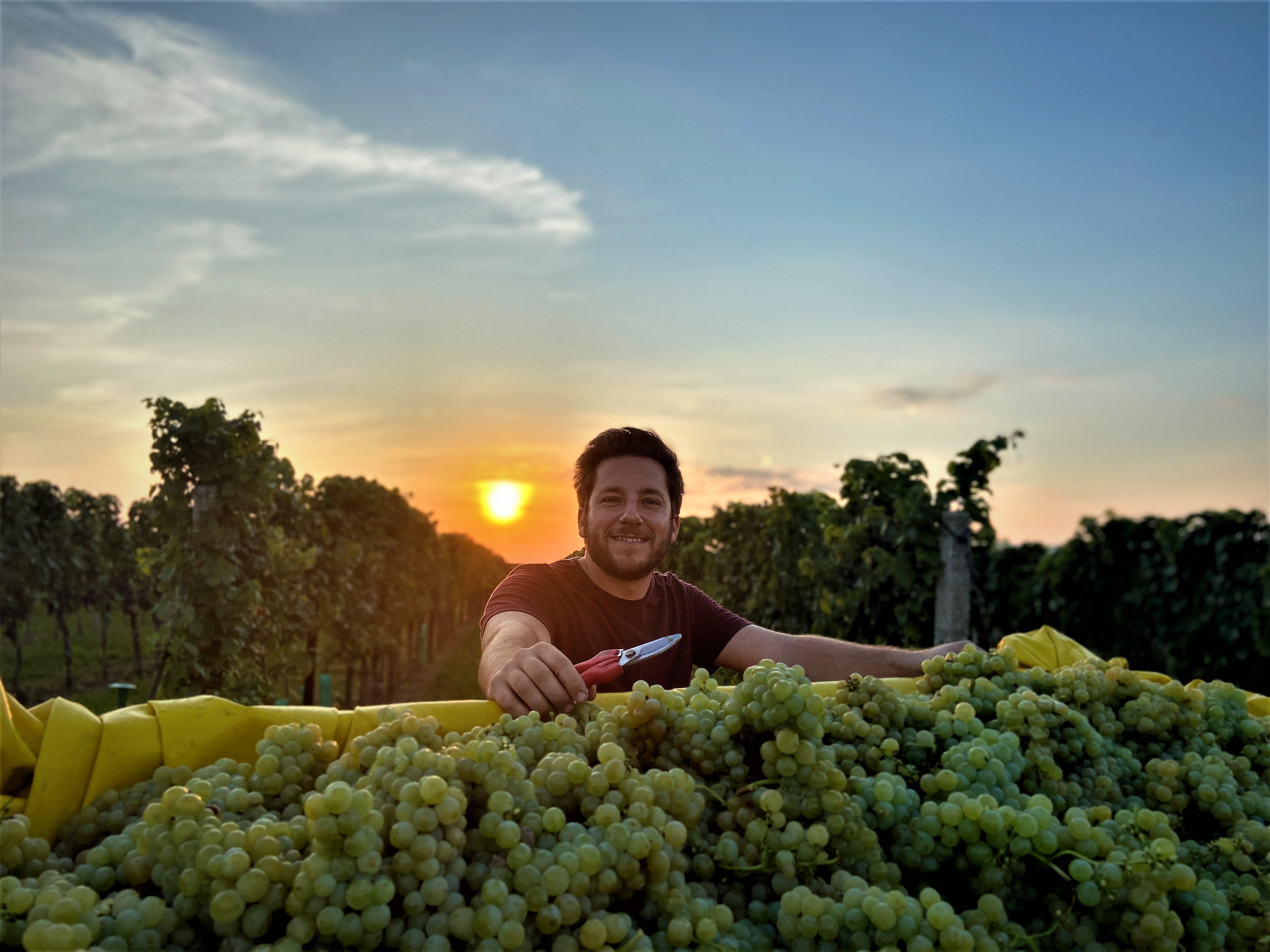 Weingut Felder Mario