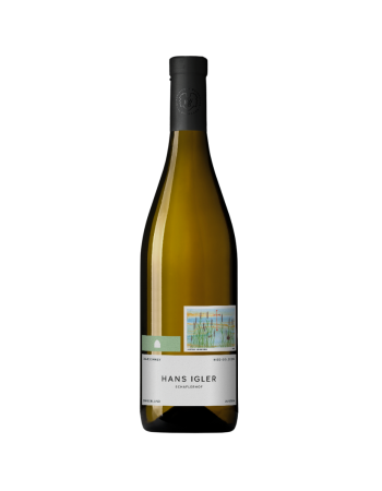 Chardonnay - Ried Goldberg 2021