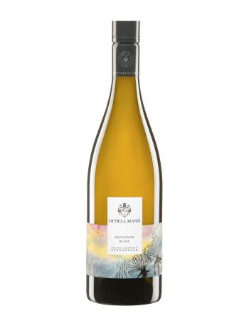 Sauvignon Blanc 2023